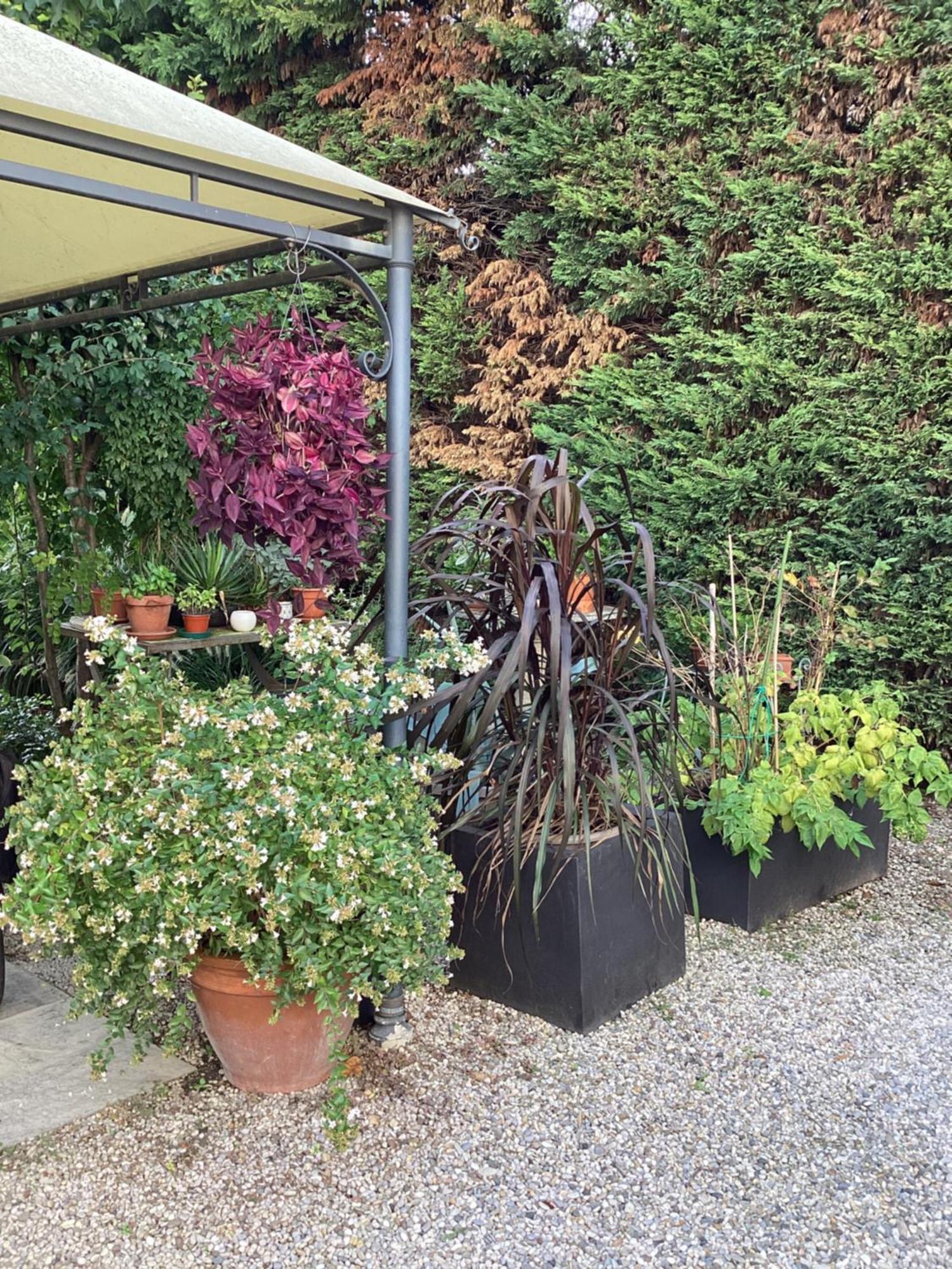 Il Villino Della Duchessa Bed & Breakfast Parma Exterior photo