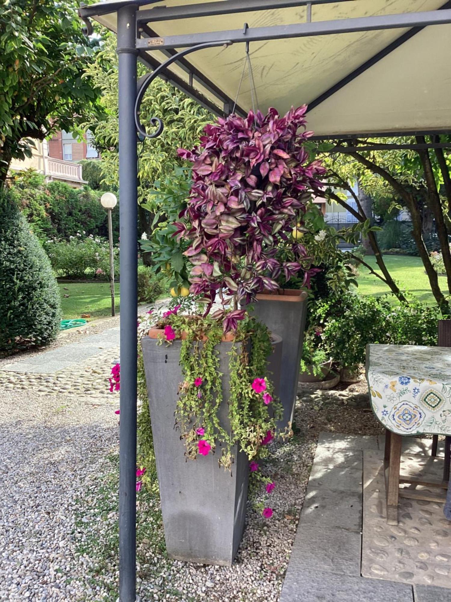 Il Villino Della Duchessa Bed & Breakfast Parma Exterior photo